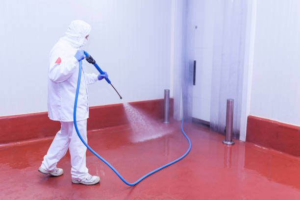 Best Residential Exterior Washing  in USA
